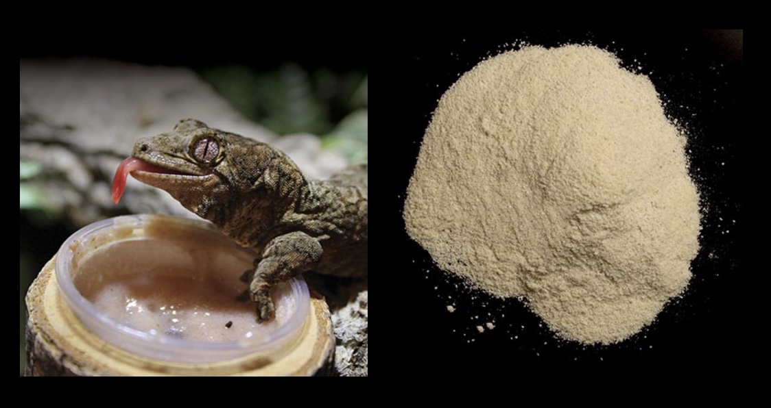 Arcadia EarthPro ReptiGold 50 g - Obrázek 2