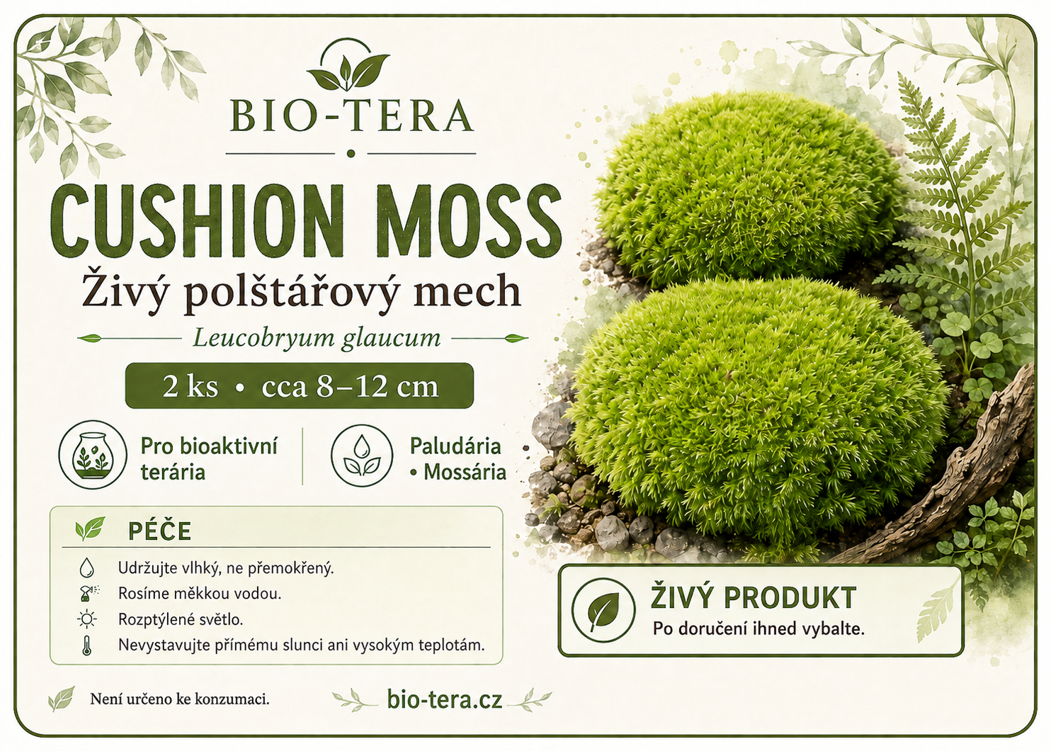 Živý polštářový mech - Cushion Moss, 50 g