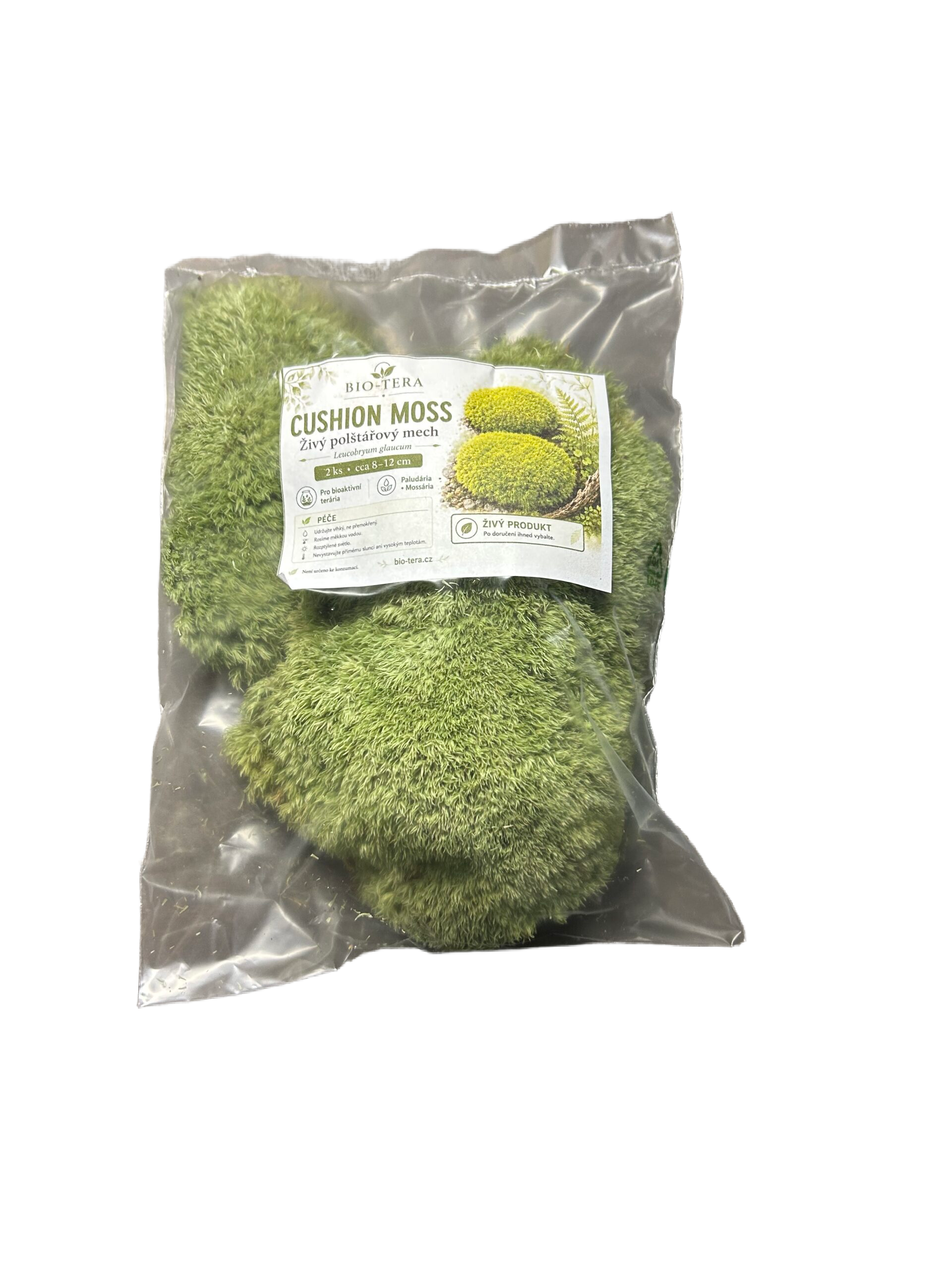 Živý polštářový mech - Cushion Moss, 50 g - Obrázek 2